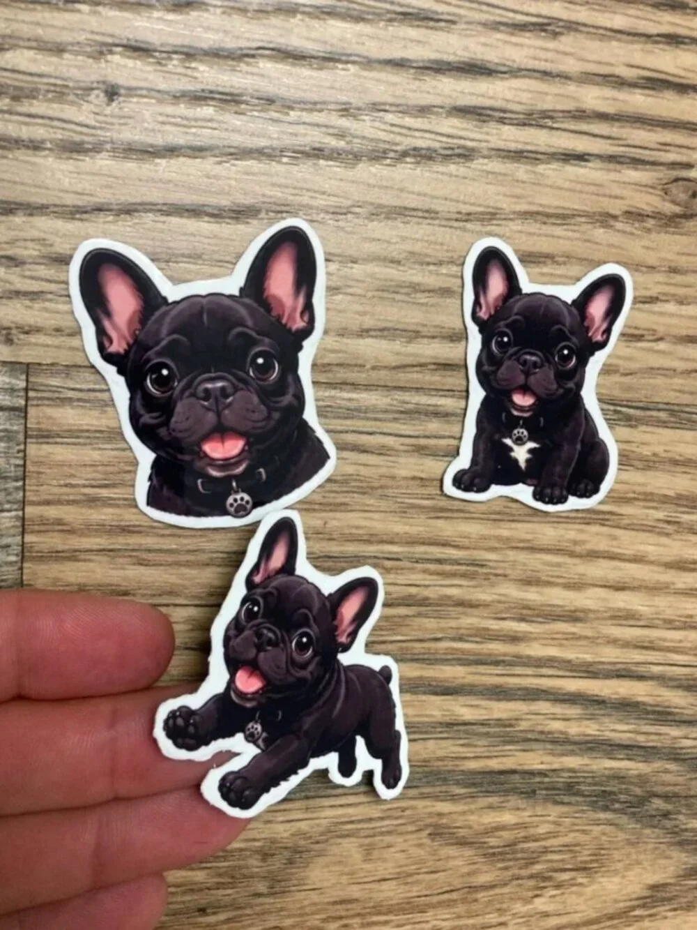 6 Flexible French Bulldog Dog Magnets 2 Sets Puppy Refrigerator Fridge Decor